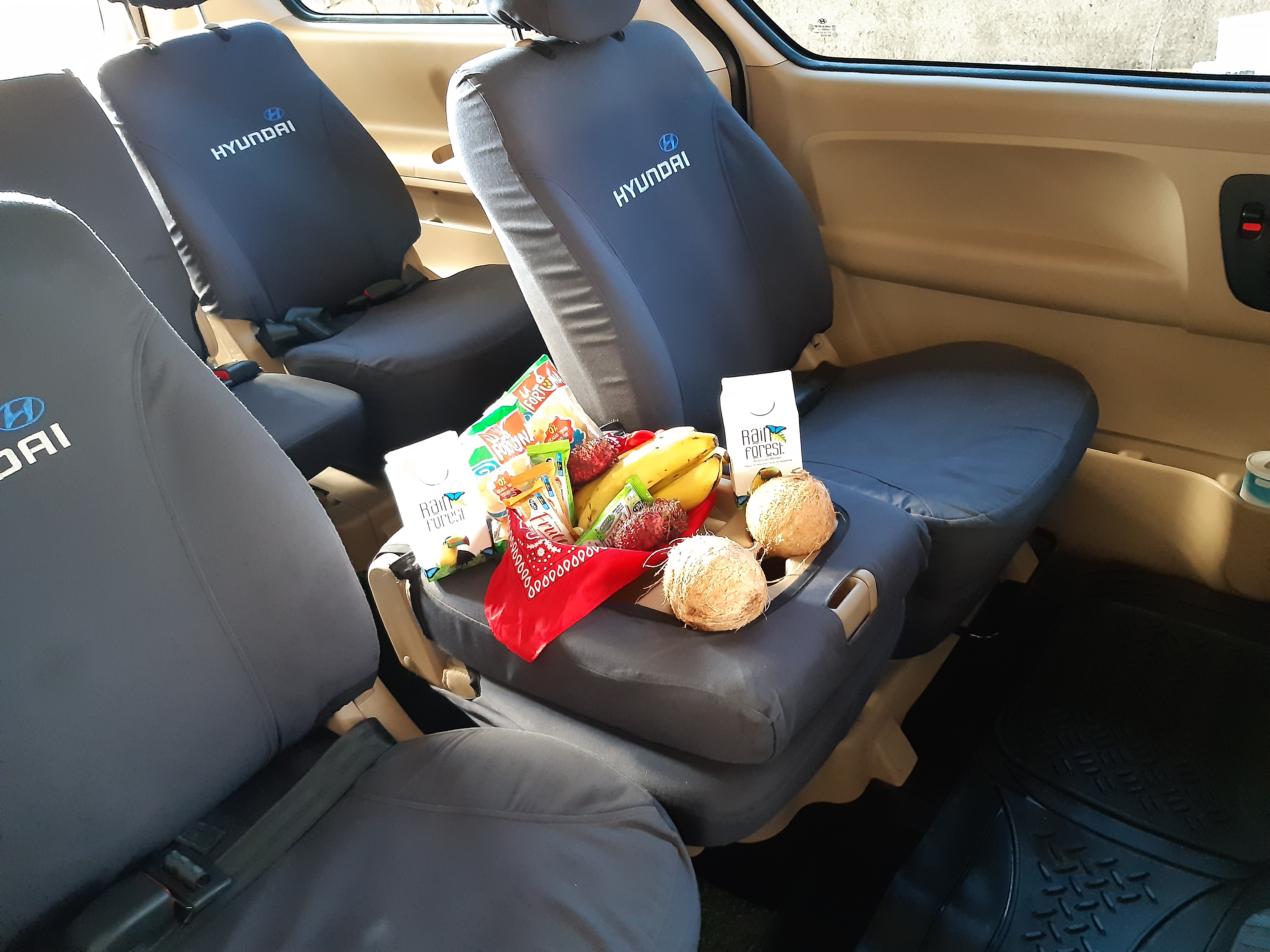 Private Transfer La Fortuna, Arenal to Manuel Antonio