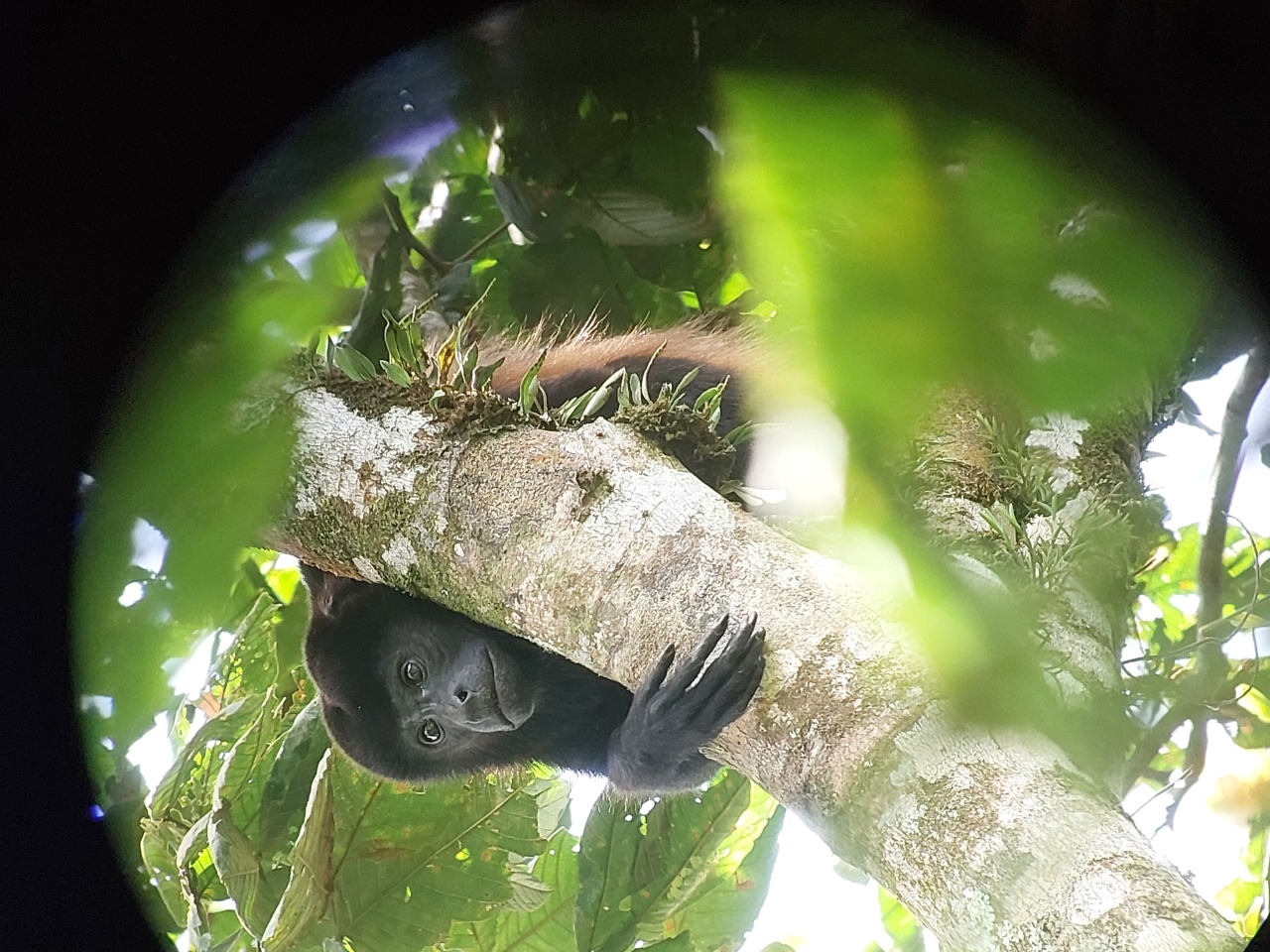 Private Transfer La Fortuna, Arenal to Nosara - Sámara - Carrillo