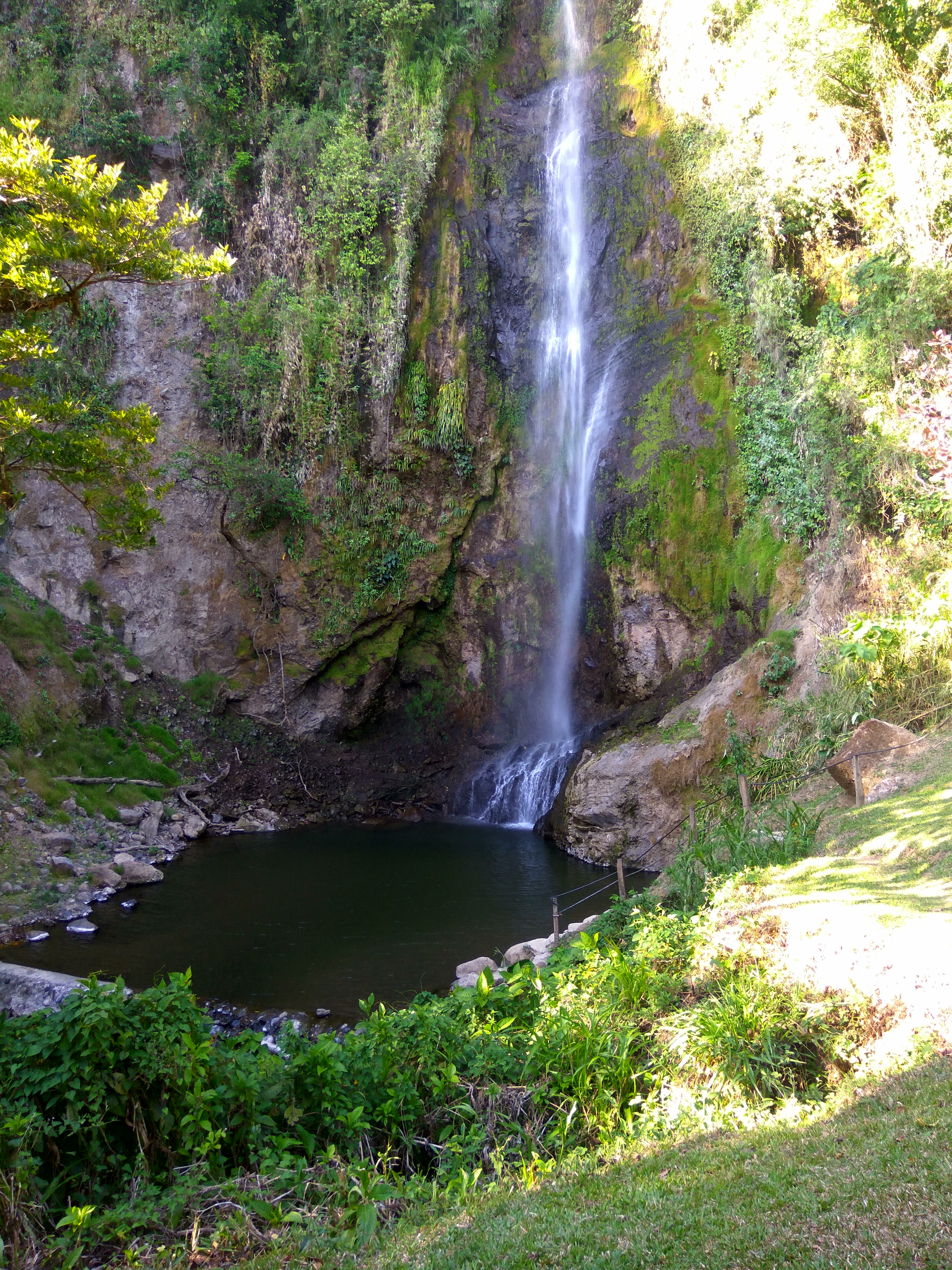 Private Transfer La Fortuna, Arenal to Monteverde